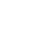 Felipe Martins Logo